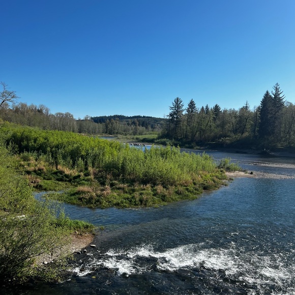 Meet your Posher, techno31 - Picture 1 of 1